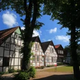 Dorfkern Bockhorst Traditionelle Fachwerkhäuser in einer Baumallee, Himmel mit wenigen Wolken im Hintergrund.