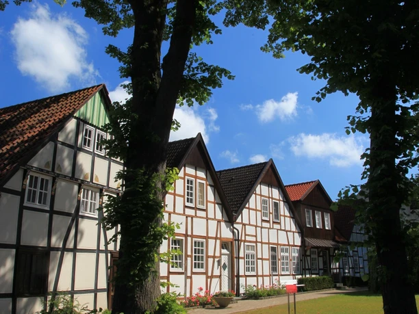 Dorfkern Bockhorst Traditionelle Fachwerkhäuser in einer Baumallee, Himmel mit wenigen Wolken im Hintergrund.