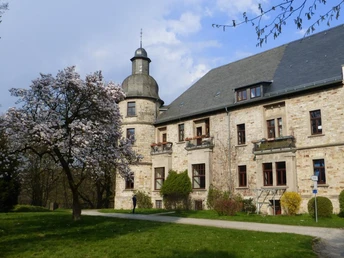 Schloss Hamborn im Frühling, blühender Baum links vor historischem Gebäude mit Rundturm.