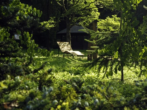 Liegebank und Schutzhütte im Arboretum Lichtung mit Liegebank und Schutzhütte im Arboretum.