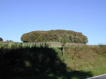 Grüne Wiese mit einem Wald im Hintergrund unter klarem, blauen Himmel in Stapelage.