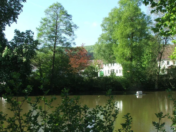 Gut Stapelage Historisches Herrenhaus Gut Stapelage, umgeben von dichten Bäumen und einem nahegelegenen Teich.