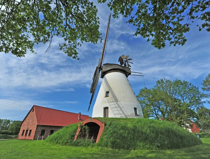 Historische Windmühle mit weißen Wänden und Schilfdach, umgeben von grünen Bäumen und blauem Himmel.