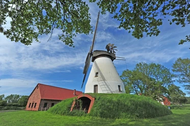 Heimser Windmühle Historische Windmühle mit weißen Wänden und Schilfdach, umgeben von grünen Bäumen und blauem Himmel.
