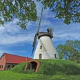 Heimser Windmühle Historische Windmühle mit weißen Wänden und Schilfdach, umgeben von grünen Bäumen und blauem Himmel.