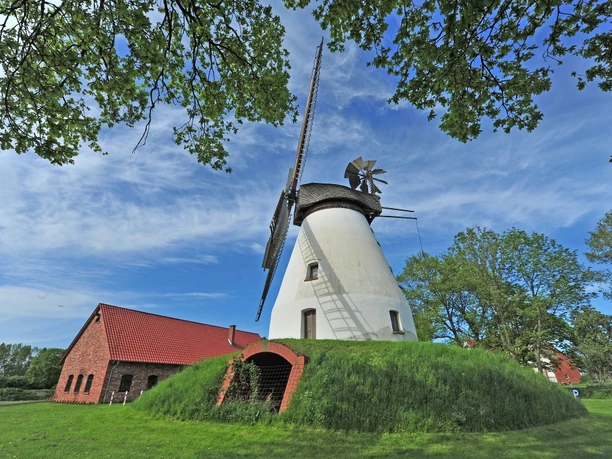 Heimser Windmühle Historische Windmühle mit weißen Wänden und Schilfdach, umgeben von grünen Bäumen und blauem Himmel.