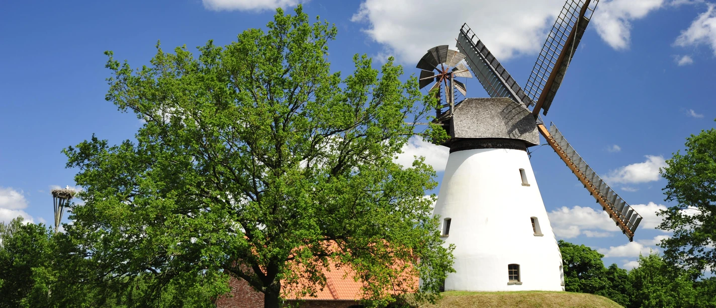 Windmühle Heimsen Historische Windmühle Heimsen umgeben von grüner Wiese und blauem Himmel mit weißen Wolken.