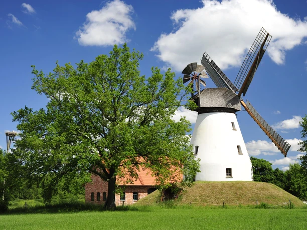 Windmühle Heimsen Historische Windmühle Heimsen umgeben von grüner Wiese und blauem Himmel mit weißen Wolken.