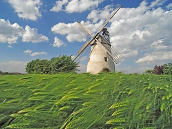 Windmühle Auf der Höchte Hille Historische Windmühle steht inmitten grüner Felder unter einem weiten, wolkigen Himmel.
