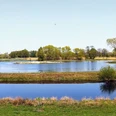 Weitläufige Wasserlandschaft mit Seen, umgeben von Wiesen und Bäumen unter strahlend blauem Himmel.