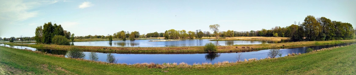 Steinhorster Becken Weitläufige Wasserlandschaft mit Seen, umgeben von Wiesen und Bäumen unter strahlend blauem Himmel.