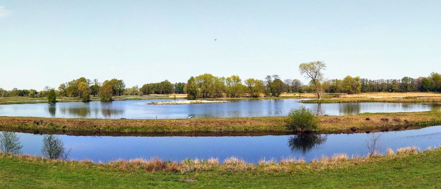 Steinhorster Becken Weitläufige Wasserlandschaft mit Seen, umgeben von Wiesen und Bäumen unter strahlend blauem Himmel.