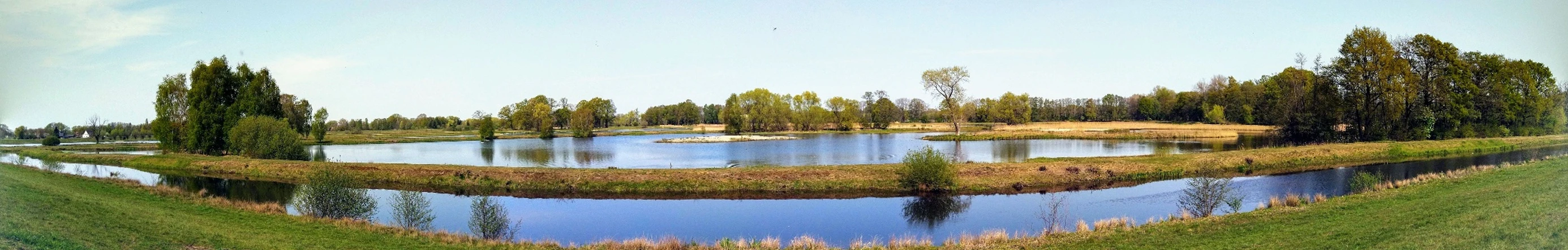Steinhorster Becken Weitläufige Wasserlandschaft mit Seen, umgeben von Wiesen und Bäumen unter strahlend blauem Himmel.