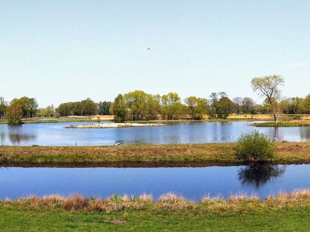 Steinhorster Becken Weitläufige Wasserlandschaft mit Seen, umgeben von Wiesen und Bäumen unter strahlend blauem Himmel.