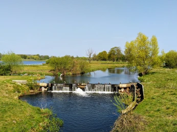 Steinhorster Becken Weite Landschaft mit Wasserbecken, Wehren und Bäumen unter blauem Himmel. Naturschutzgebiet.