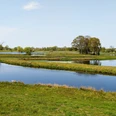 Weite Wasserflächen und grüne Ufern im Steinhorster Becken, gesäumt von üppigem Baum- und Buschwerk.