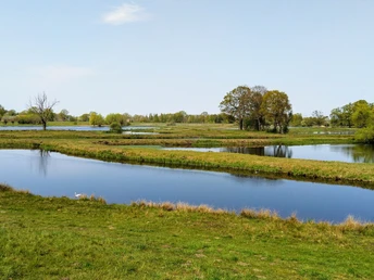 Steinhorster Becken Weite Wasserflächen und grüne Ufern im Steinhorster Becken, gesäumt von üppigem Baum- und Buschwerk.