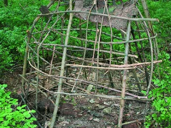 Tippy Holzkonstruktion aus Zweigen in einem Wald, umgeben von üppigem Grün und Waldboden.