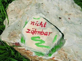 Schonraum für Wildkatzen Felsen mit der Aufschrift "nicht zähmbar", umgeben von Gras und etwas Moos.