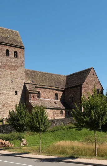 St. Kilianskirche Lügde St. Kilianskirche in Lügde aus Bruchstein, umgeben von Bäumen; quadratischer Kirchturm, blauer Himmel.