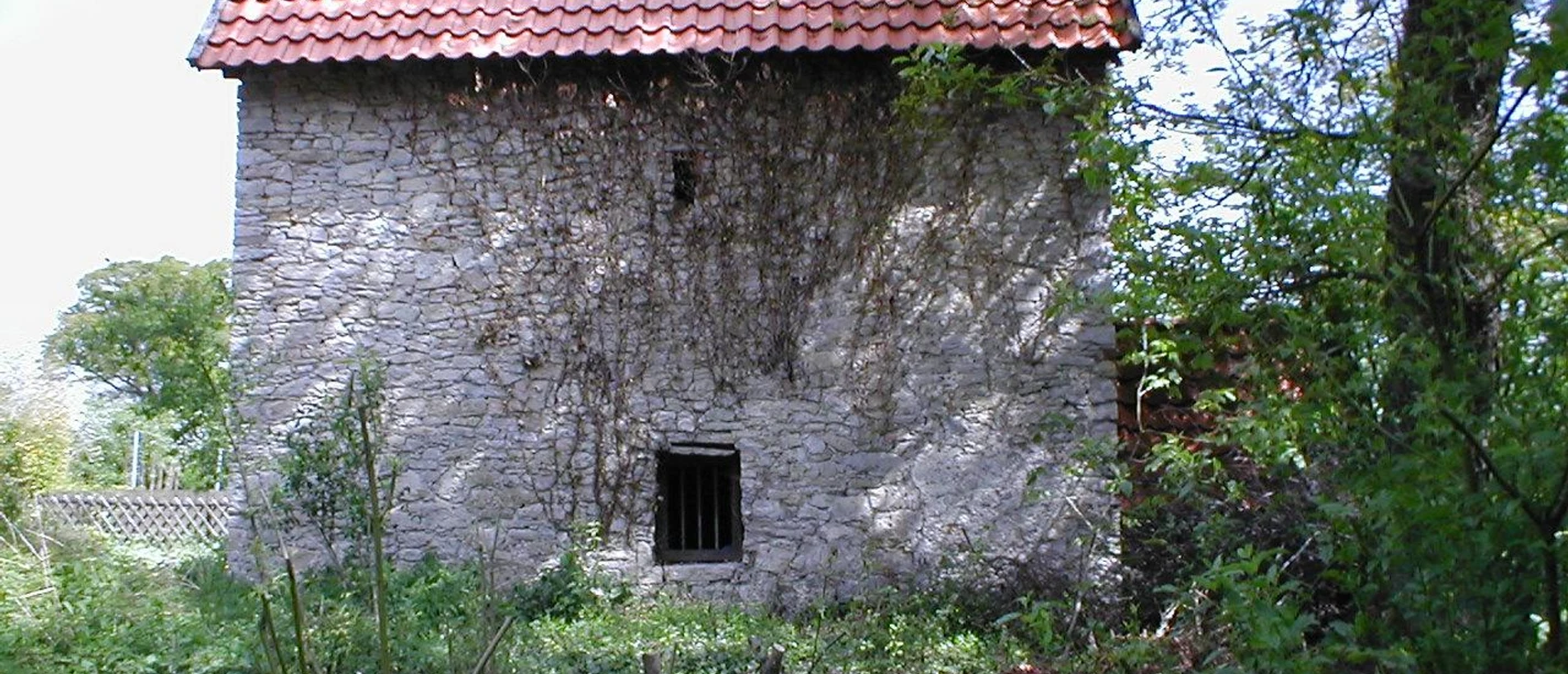 Steinerne Bauernburg mit rotem Ziegeldach, umgeben von wilder Vegetation und herabhängendem Efeu.