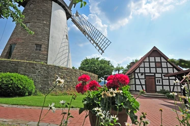 Windmühle Eickhorst Windmühle mit roten Blumen im Vordergrund, Fachwerkgebäude daneben, blauer Himmel im Hintergrund.