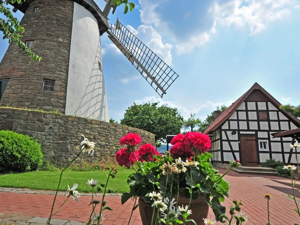 Windmühle Eickhorst Windmühle mit roten Blumen im Vordergrund, Fachwerkgebäude daneben, blauer Himmel im Hintergrund.