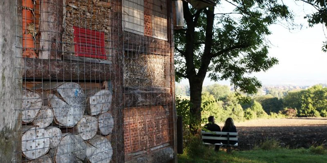 Insektenhotel In der Nähe eines ländlichen Weges steht ein Insektenhotel, dahinter sitzen zwei Personen auf einer Bank.