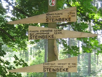 Wegweiser aus Holz im Wald mit Richtungen nach Steinbeke und zur Römerbrunnen-Route.