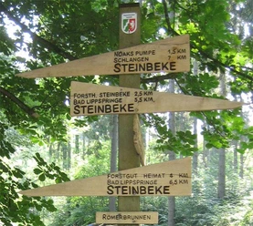 Römerbrunnen (Steinbeke) Lippspringer Wald Wegweiser aus Holz im Wald mit Richtungen nach Steinbeke und zur Römerbrunnen-Route.