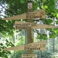 Römerbrunnen (Steinbeke) Lippspringer Wald Wegweiser aus Holz im Wald mit Richtungen nach Steinbeke und zur Römerbrunnen-Route.
