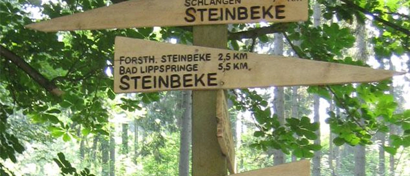 Römerbrunnen (Steinbeke) Lippspringer Wald Wegweiser aus Holz im Wald mit Richtungen nach Steinbeke und zur Römerbrunnen-Route.