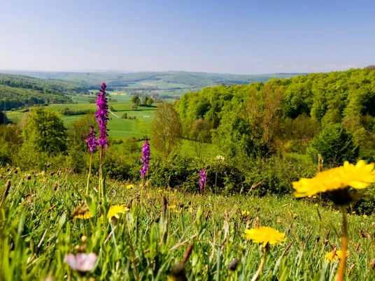 Landschaft bei Pömbsen Schöne Landschaft in Pömbsen.