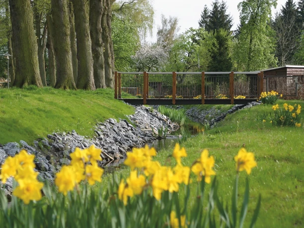 Eine idyllische Landschaft mit einer Holzbrücke über einen Bach, umgeben von blühenden Narzissen.