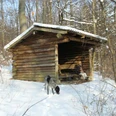 Schutzhütte bei Borchen-Etteln Eine Schutzhütte aus Holz im verschneiten Wald, ein Hund schnüffelt am Boden, während eine Person sitzt.