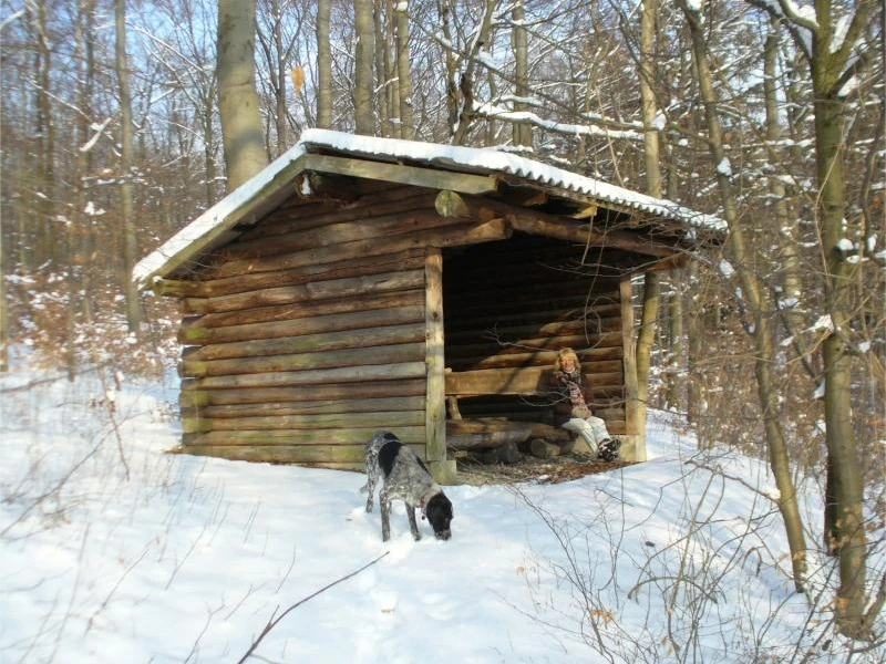 Schutzhütte bei Borchen-Etteln Eine Schutzhütte aus Holz im verschneiten Wald, ein Hund schnüffelt am Boden, während eine Person sitzt.