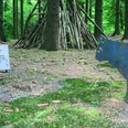 Kitty come back Ein hölzernes Kunstwerk im Wald mit Katzenfigur und einem Infobord, umgeben von Bäumen.
