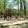Spielplatz bei den Fischteichen Spielplatz mit Holzspielgeräten, Schaukeln und sandigem Boden, umgeben von hohen Bäumen.