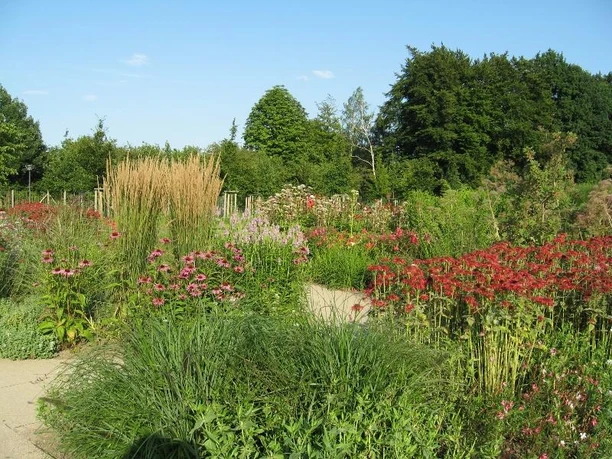 Rote Staudengalerie im Parkteil Rietberg-Neuenkirchen Ein blühender Garten mit bunten Blumenbeeten, hohen Gräsern und Bäumen im Hintergrund unter blauem Himmel.
