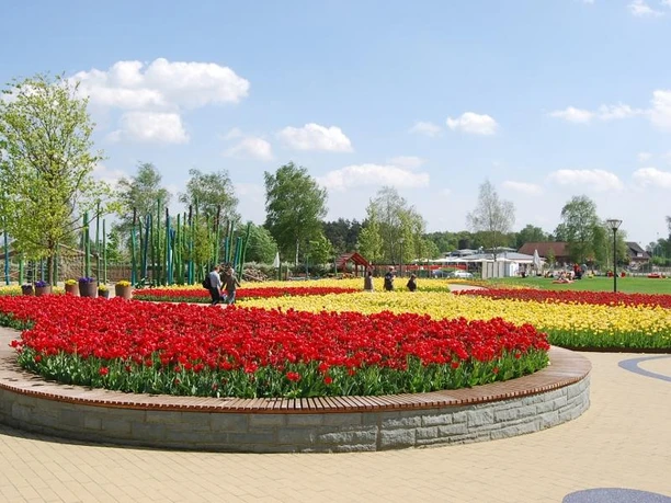 Ein weitläufiger Garten mit bunten Tulpenbeeten unter einem klaren, blauen Himmel im Frühling.