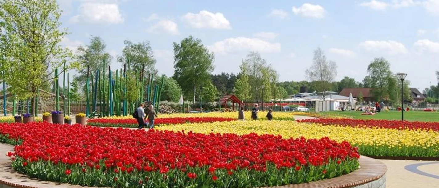 Gartenschaupark Rietberg Eingangsbereich Mitte/Historischer Stadtkern Ein weitläufiger Garten mit bunten Tulpenbeeten unter einem klaren, blauen Himmel im Frühling.