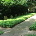 Soldatenfriedhof 1 Soldatenfriedhof mit Reihen von Grabsteinen, umgeben von dichtem Grün in einer ruhigen Waldumgebung.