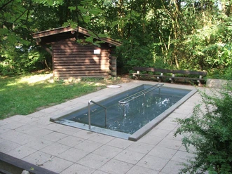 Ein Kneipptretbecken mit klarer Umrandung liegt in einem friedlichen, von Bäumen umgebenen Wald.