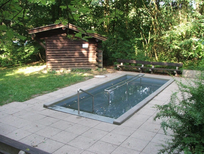 Kneipptretbecken Ein Kneipptretbecken mit klarer Umrandung liegt in einem friedlichen, von Bäumen umgebenen Wald.