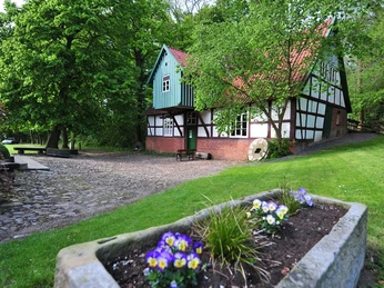Wassermühle Döhren Historische Fachwerkmühle mit rotem Ziegeldach, umgeben von Bäumen und einem blühenden Steingarten.