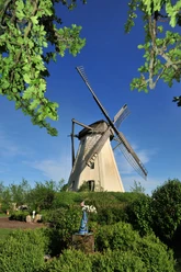 Windmühle Großenherse Historische Windmühle Großenherse, umgeben von grüner Natur und blühenden Pflanzen unter blauem Himmel.