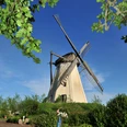 Windmühle Großenherse Historische Windmühle Großenherse, umgeben von grüner Natur und blühenden Pflanzen unter blauem Himmel.