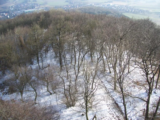 Aussicht im Winter vom Luisenturm Borgholzhausen Schneebedeckter Wald auf einem Hügel, mit Ausblick auf ein entferntes Dorf im Hintergrund.
