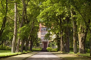 Clemensheim Bad Driburg Eine von grünen Bäumen gesäumte Allee führt zu einem historischen Gebäude mit rotem Ziegeldach.