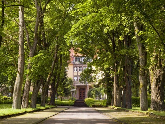 Clemensheim Bad Driburg Eine von grünen Bäumen gesäumte Allee führt zu einem historischen Gebäude mit rotem Ziegeldach.